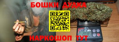 a pvp Гатчина