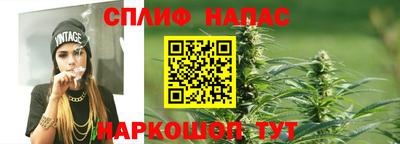 a pvp Гатчина