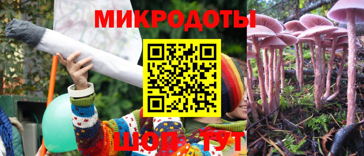 Псилоцибиновые грибы прущие грибы Назарово