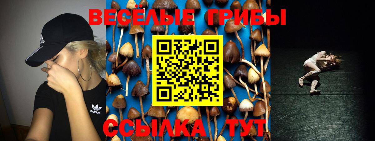 Назарово  Псилоцибиновые грибы Psilocybine cubensis  Вход с VPN 